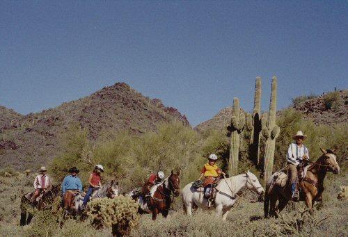Horseback riding in the desert