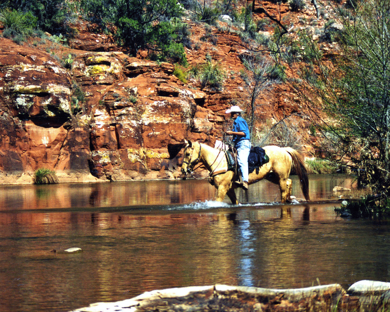 Private Horseback Riding Phoenix