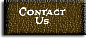 Contact 360 Adventures