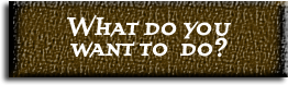 What do you want to do with 360 Adventures