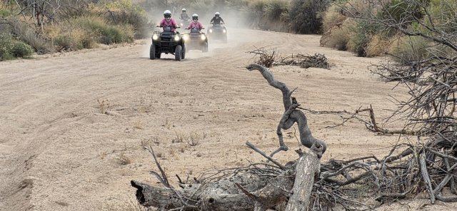 Single-rider ATVs rolling with the UTVs on one guided combo tour