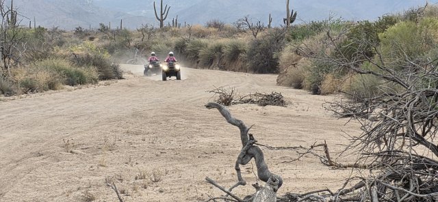 The ATV side of the combo - two single-rider ATVs on the same tour