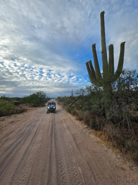 Sand buggy on a desert trail beneath a dramatic sky and saguaros