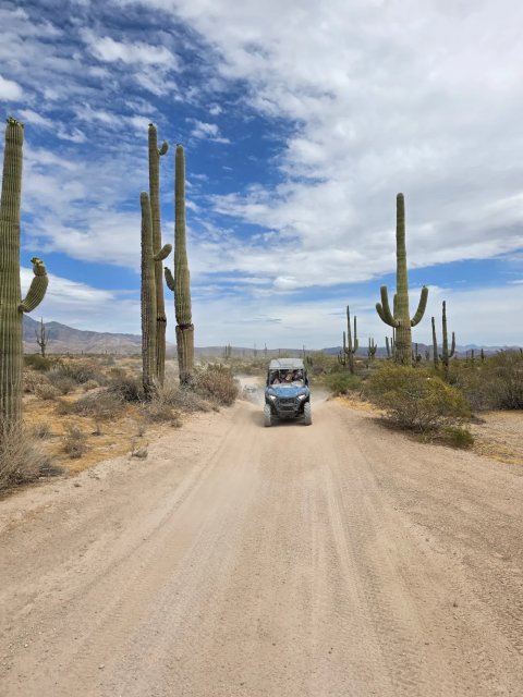 Sand buggy driving a saguaro-lined desert road near Scottsdale