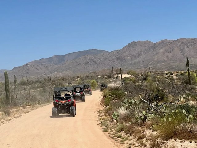 Sand buggies kicking up dust on a Sonoran Desert trail
