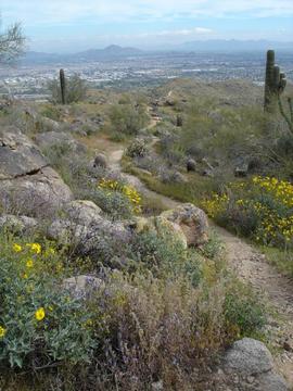 Hiking in South Mountain Park