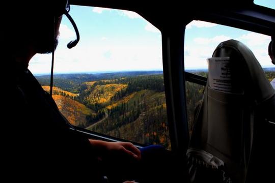 Fall Colors