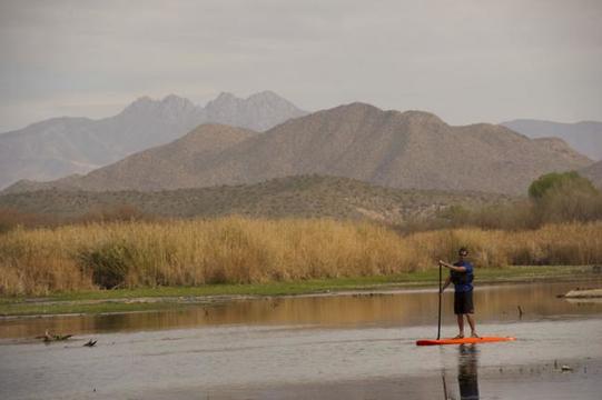 SUP Salt River
