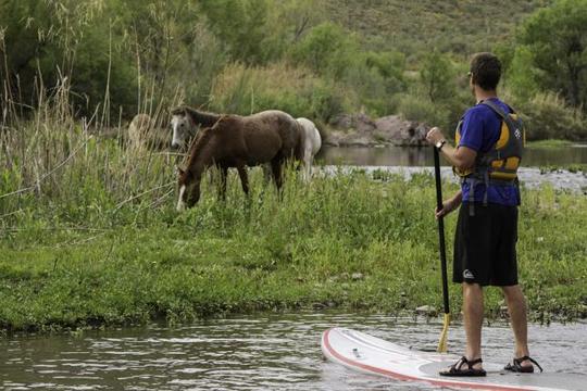 SUP Salt River 5