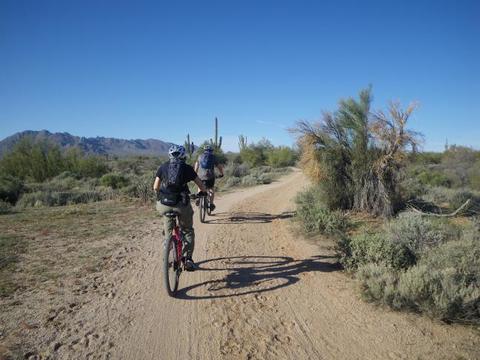 Mountain Biking the McDowell's