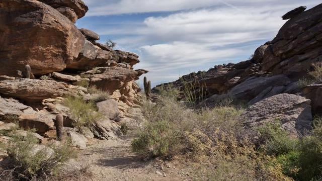 Phoenix Hiking Rocks