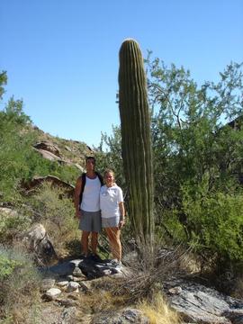Phoenix Hiking Saguaro