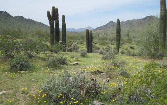 Phoenix Hiking View 2