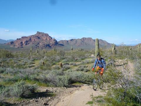 Single Track Mountain Biking in Phoenix