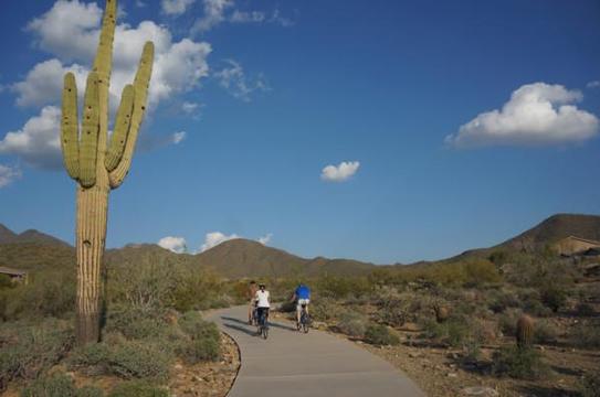 Phx Urban Biking 2