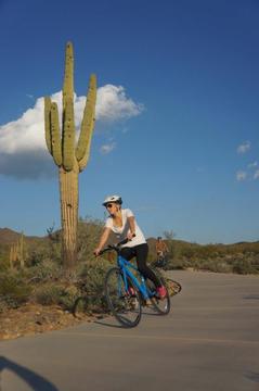 Phx Urban Biking 3