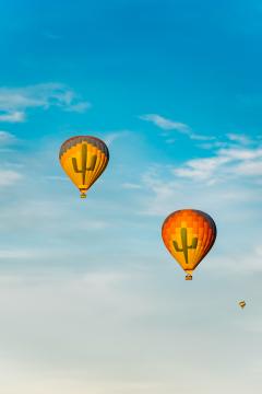 Hot Air Balloon Tours #14