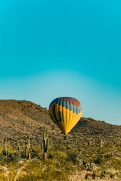Hot Air Balloon Tours #15