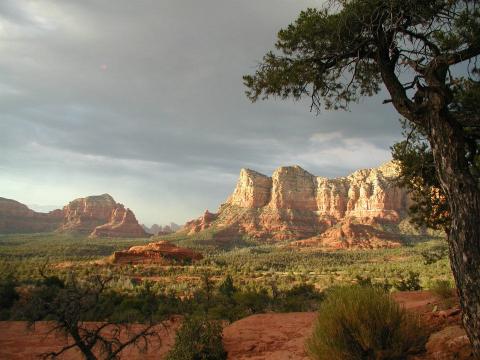 Sedona #11
