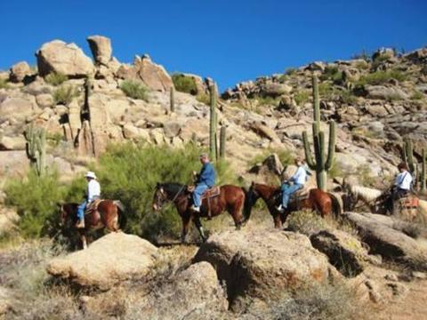 Group Horseback Rides in Phoenix