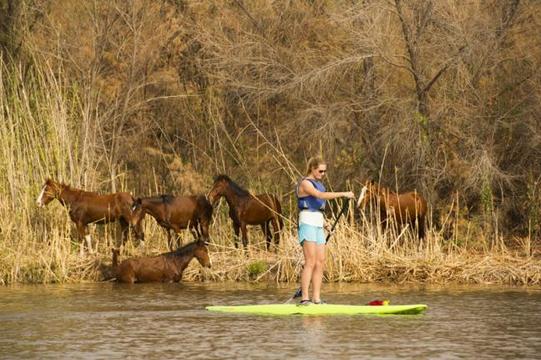 Stand-Up Paddleboarding