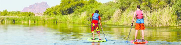 Salt River Stand-Up Paddle Boarding & Wildlife Tour