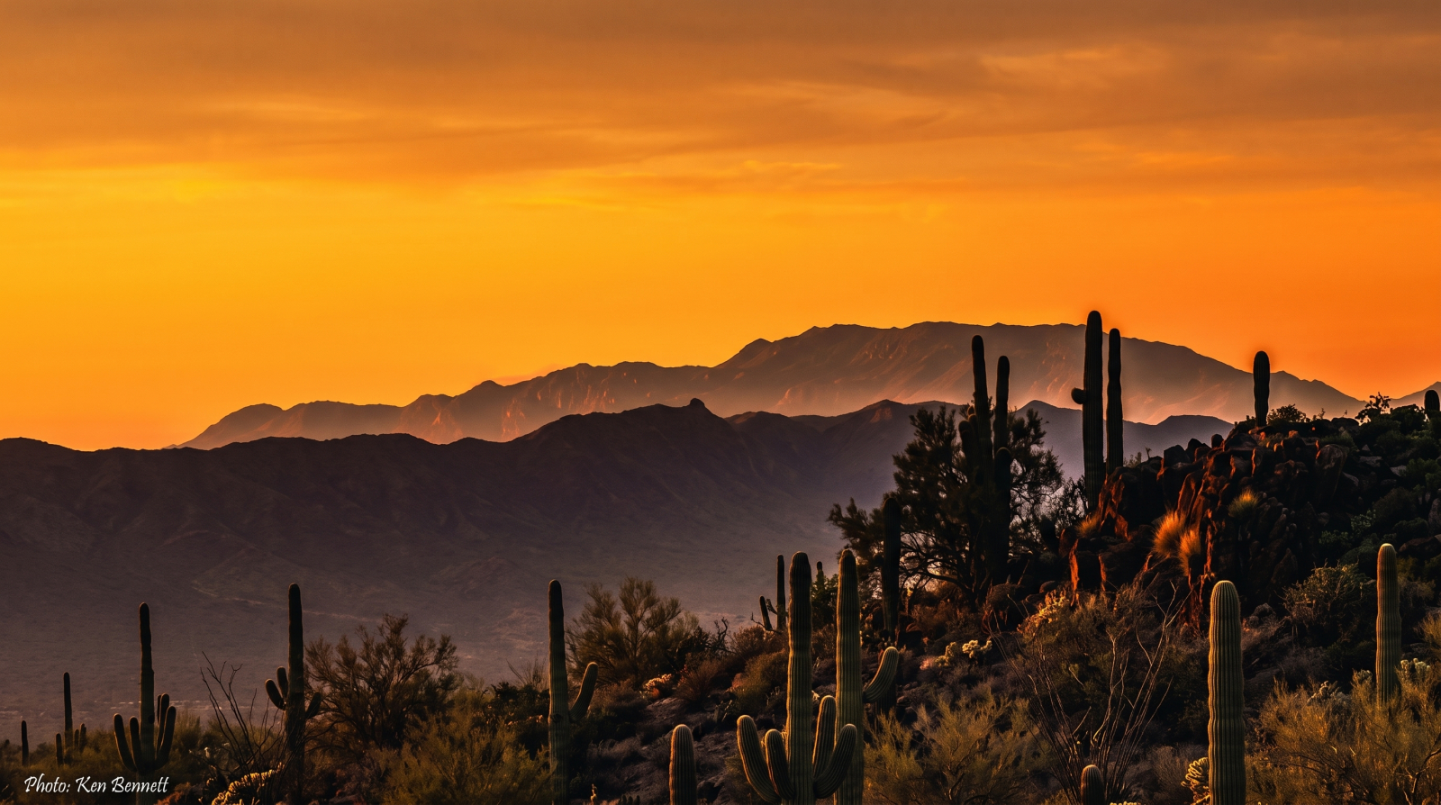 Sunset Hiking Tours in Scottsdale