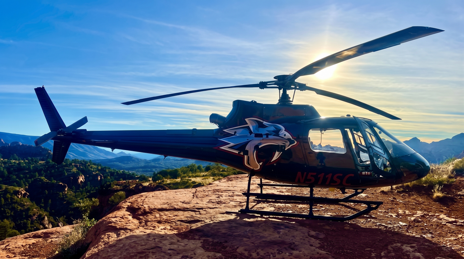 Mountaintop Landing Helicopter Tour from Scottsdale