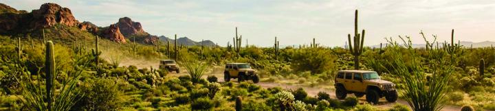 Sonoran Desert Jeep Tour Scottsdale Guided 4x4 Adventure