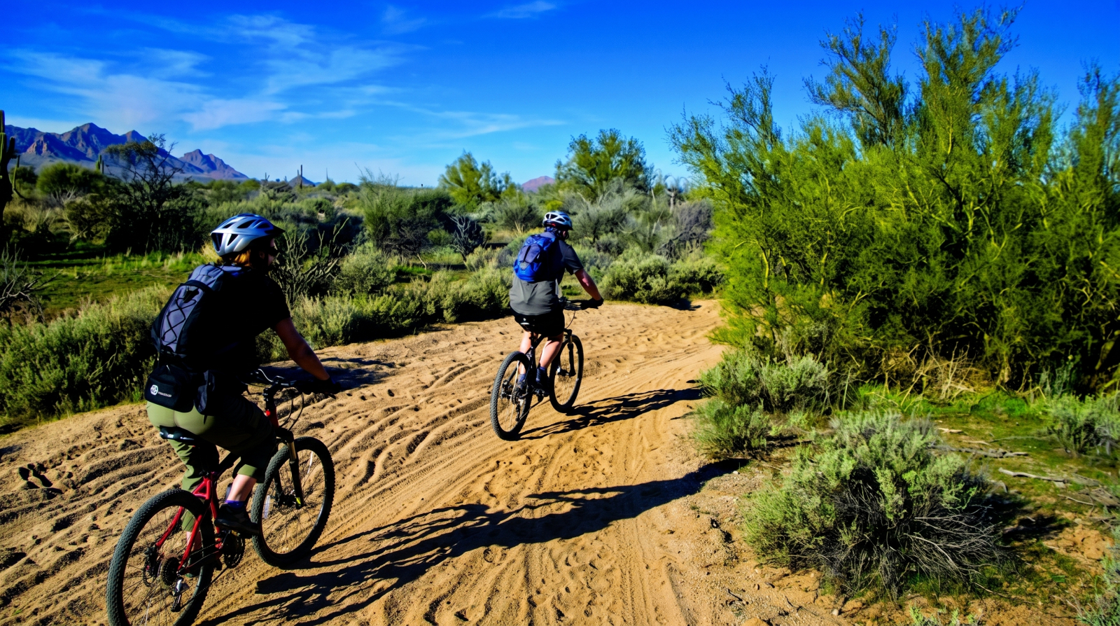 Scottsdale Mountain Bike Tour - Guided Sonoran Desert Singletrack
