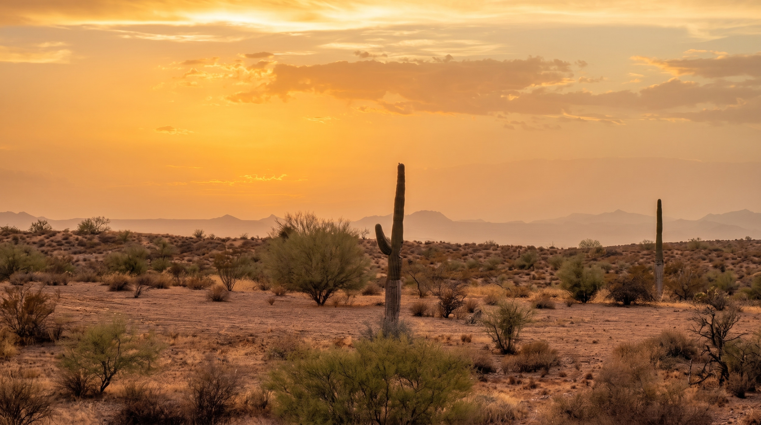 Private VIP Dune Buggy & UTV Tours from Scottsdale