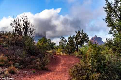 Private Sedona Day Tour & Hike