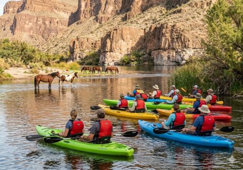 Salt River Kayaking & Wildlife Experience