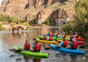 Salt River Kayaking & Wildlife Experience