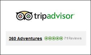 TA reviews